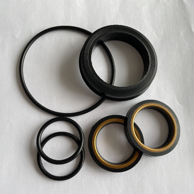 Bộ sửa chữa van cắm chống nhiệt dầu H2S -20-220 độ C cho mỏ dầu