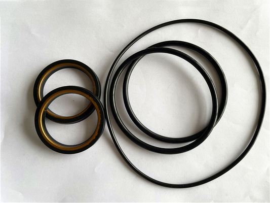Bộ sửa chữa van cắm chống nhiệt dầu H2S -20-220 độ C cho mỏ dầu