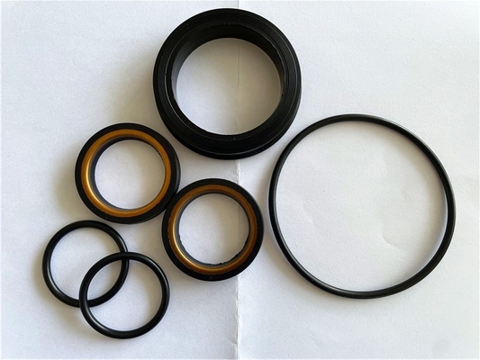 Bộ sửa chữa van cắm chống nhiệt dầu H2S -20-220 độ C cho mỏ dầu