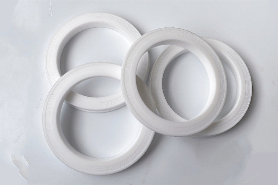 Custom Material Standard Size 2&quot;3&quot;4&quot; PTFE Hammer Union Lip Seal Rings