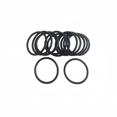 NBR cao su silicone O-ring Dịch vụ tùy chỉnh cho đúc và chế biến Dịch vụ đúc