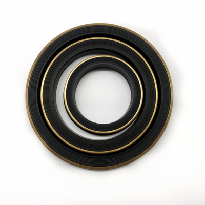 OEM ODM thay thế màu đen HNBR 2 Inch Hammer Union Lip Seal