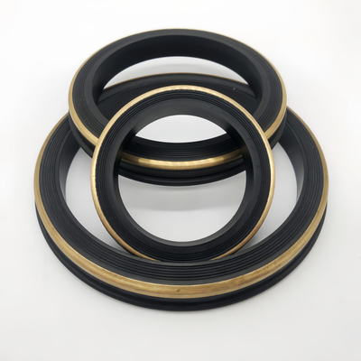 OEM ODM thay thế màu đen HNBR 2 Inch Hammer Union Lip Seal