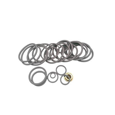 Công nghiệp # 20 BP3.SEC Bộ sửa chữa với dầu cao su bền / hóa chất / chống nhiệt