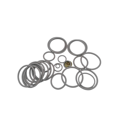 Công nghiệp # 20 BP3.SEC Bộ sửa chữa với dầu cao su bền / hóa chất / chống nhiệt
