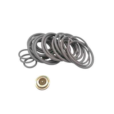 OEM / ODM có sẵn Nitrile Fluorelastomer Bridge Plugs 10 BP3.SEC Adapter Kits Cho Đặt lại