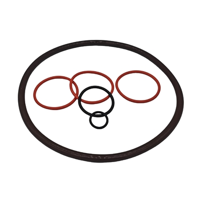 O Nhẫn được làm từ các vật liệu cao su khác nhau và hình dạng Gaskets tùy chỉnh với OEM ODM chấp nhận
