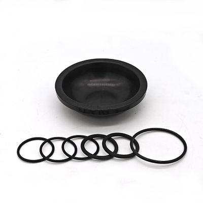Blueflex Diaphragm Kit cho máy bơm AR30/40 chống dầu NBR hoặc cao su FKM