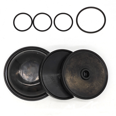 BlueFlex Diaphragm Kit cho máy bơm Ar30/40
