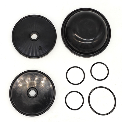 BlueFlex Diaphragm Kit cho máy bơm Ar30/40