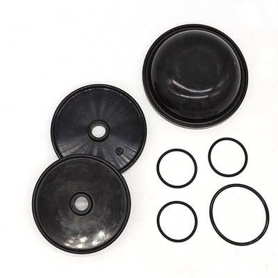 BlueFlex Diaphragm Kit cho máy bơm Ar30/40