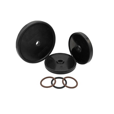 Blueflex Diaphragm Kit cho máy bơm AR30/40 chống dầu NBR hoặc cao su FKM