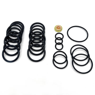# 10 Thiết lập dụng cụ Seal Kit với 15.000 PSI Đánh giá áp suất và Nitrile (NBR) Seal cho dầu & khí Downhole ứng dụng