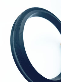 Sản xuất tại Trung Quốc Hammer Union Lip Seal Ring HNBR