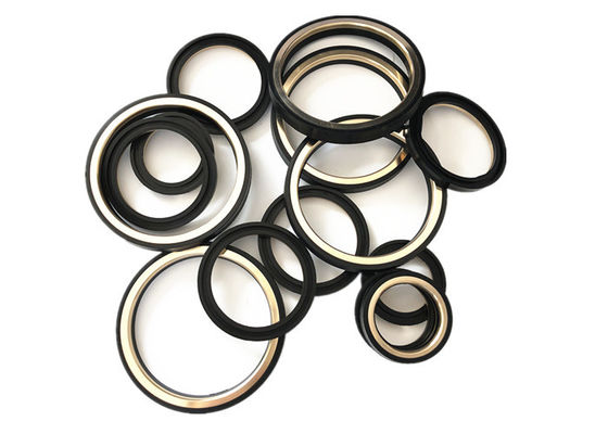 Đóng gói Mặt sau SS 1 "2" Loại Y Niêm phong van cắm NBR