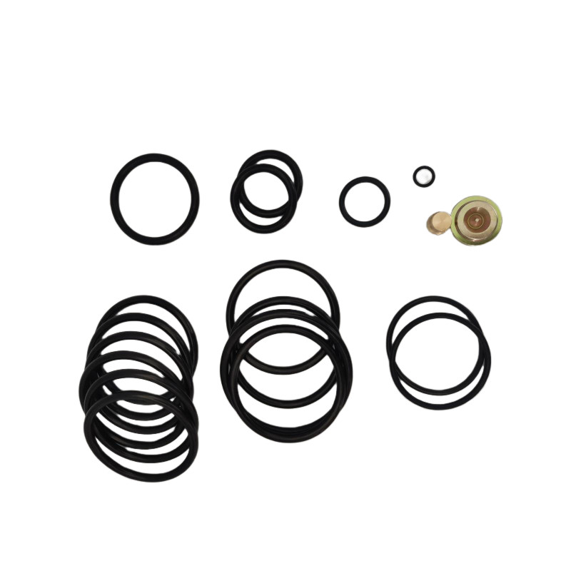 90 Shore A O-Ring Kit với AP Compact SettingTool Leakproof Seals Gaskets cho công nghiệp