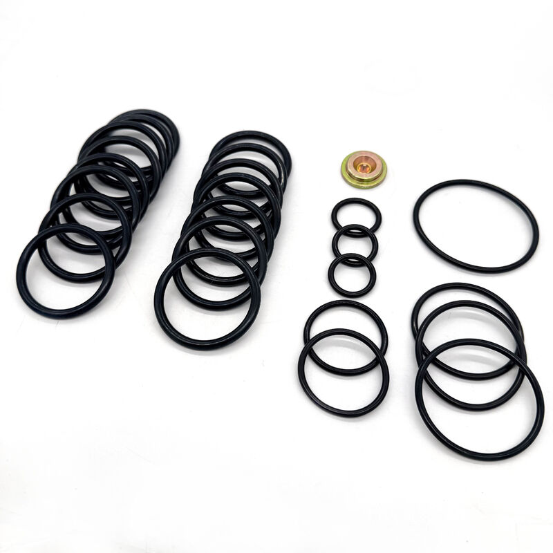 # 10 Thiết lập dụng cụ Seal Kit với 15.000 PSI Đánh giá áp suất và Nitrile (NBR) Seal cho dầu & khí Downhole ứng dụng