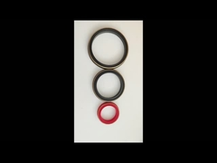 80 Shore A Brass Backup Buna Hammer Liên minh Seal